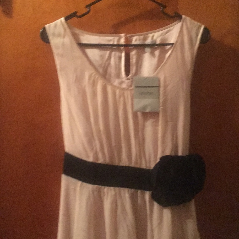 A Pea In The Pod Pink Maternity Dress NWT Size L
